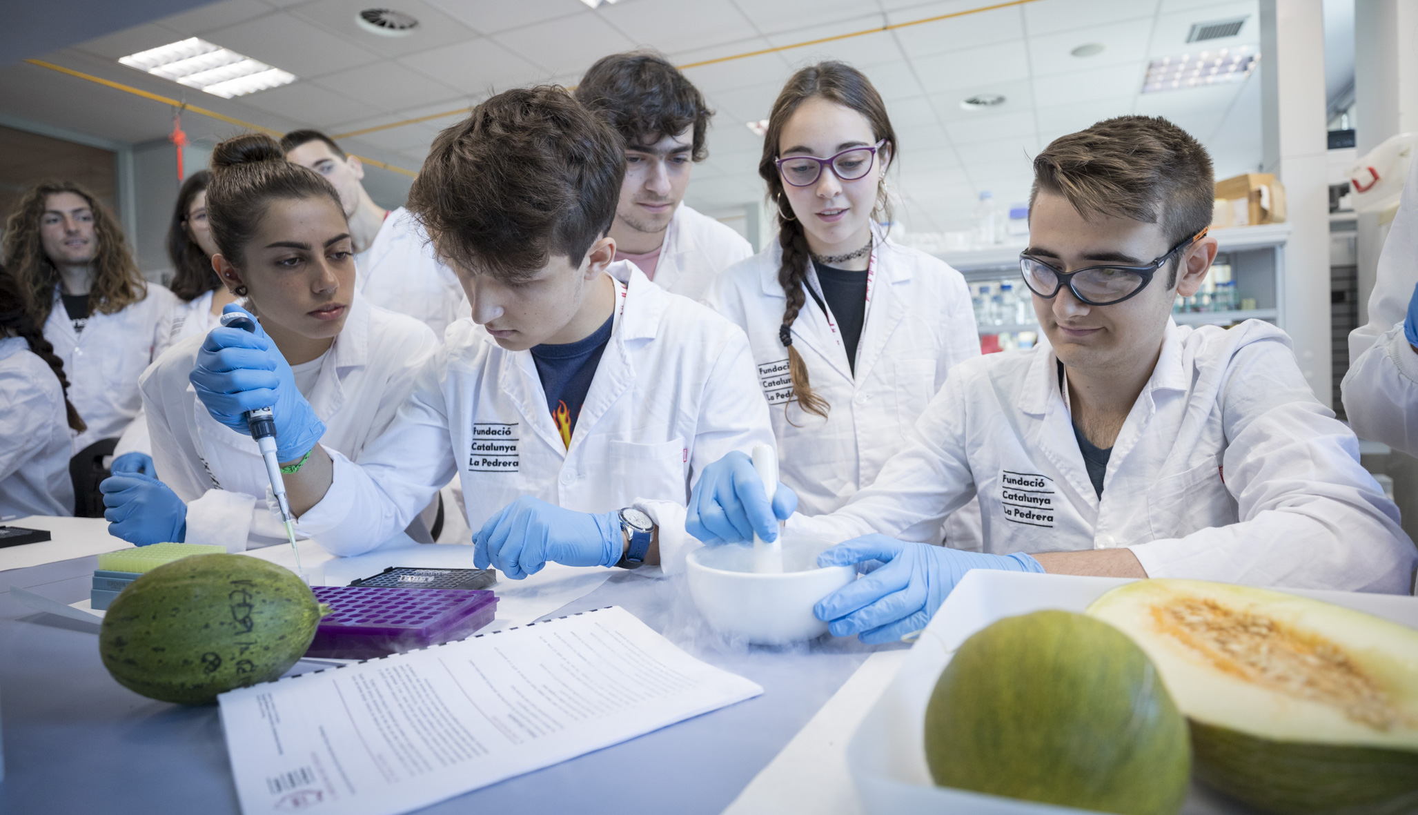 Science Academy: promoting scientific vocations among young people as an innovation challenge