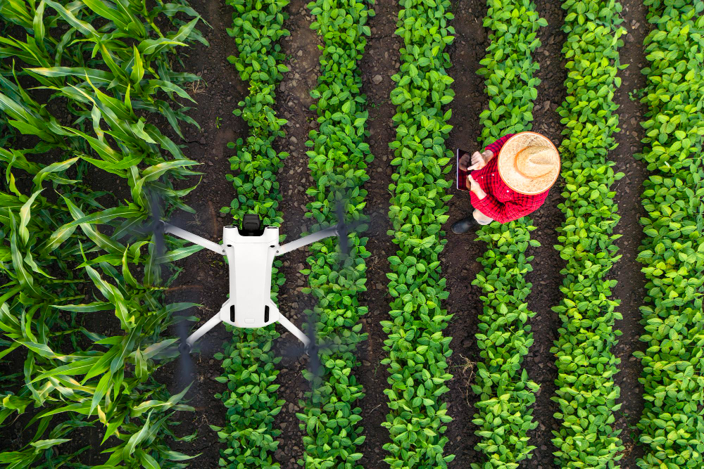 Así trabaja la finca agrícola con datos y equipos de precisión