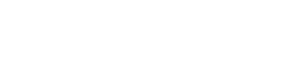 Logo BNEW